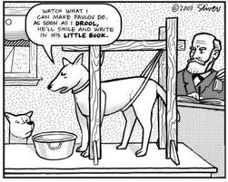 Pavlov Pavlov